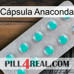 Cápsula Anaconda 28